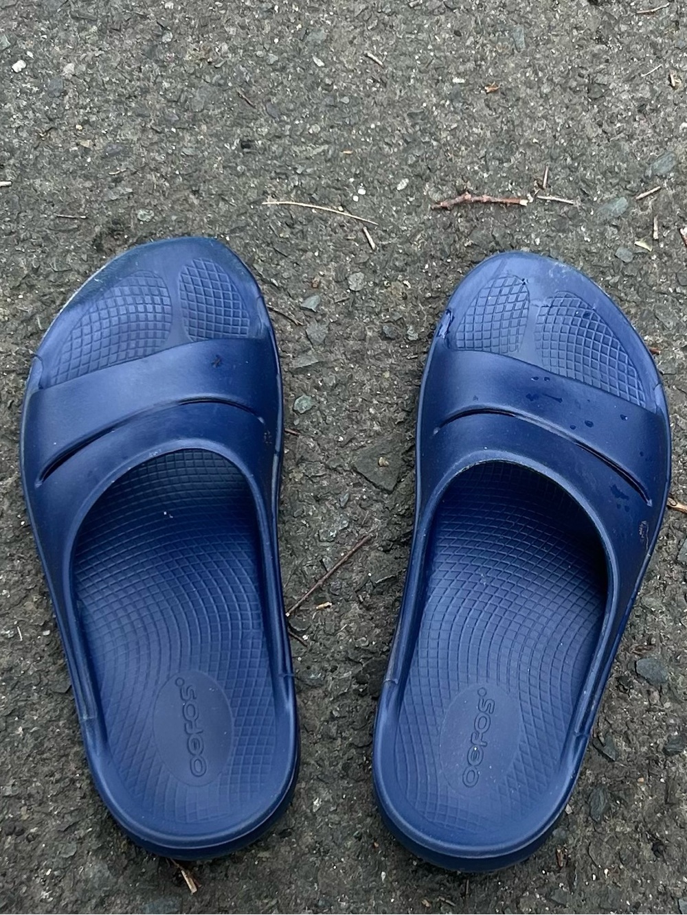 Oofos Dark Purple Slide Sandals